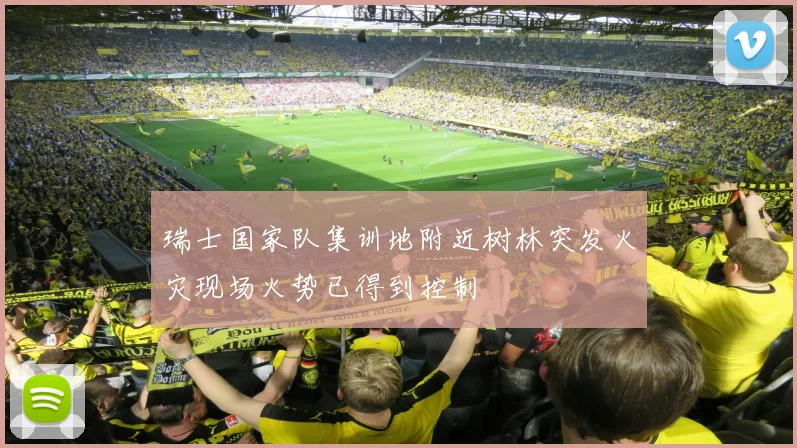 瑞士国家队集训地附近树林突发火灾现场火势已得到控制