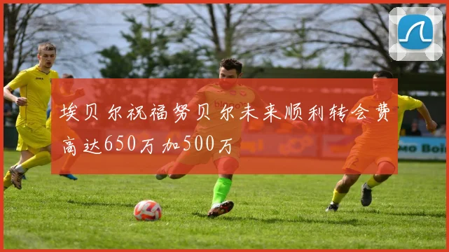 埃贝尔祝福努贝尔未来顺利转会费高达650万加500万